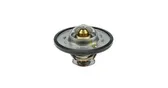 Termostat Ø58 80°C 504384724