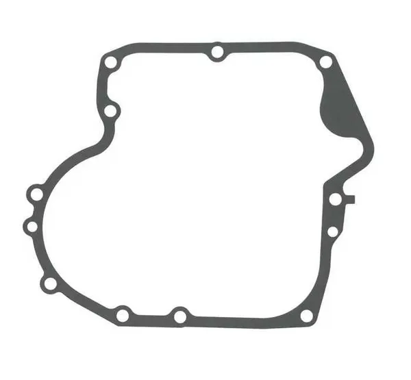 Karteri tihend 697110 Briggs & Stratton